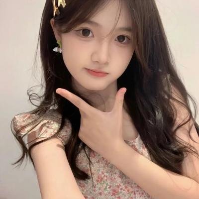 阿基里斯与龟