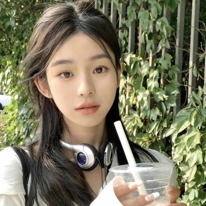 屋顶上的轻骑兵